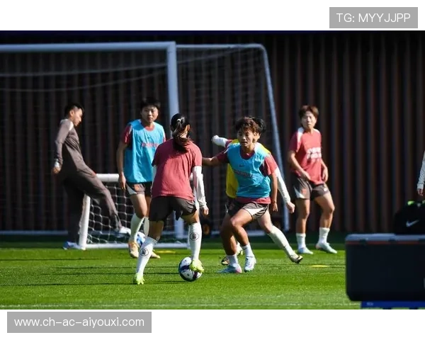 全球女队足球团结一心向冠军进发，全世界女足职业队伍数量